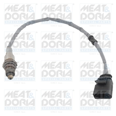 Oxygen Sensor